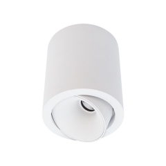 Cevon Dark Art Large Tilt/Rotate Surface Mount Downlight