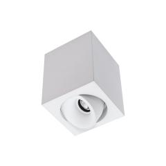 Cevon Dark Art Medium Square Tilt/Rotate Surface Mount Downlight
