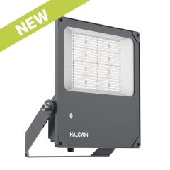200W Morepork Exterior Flood